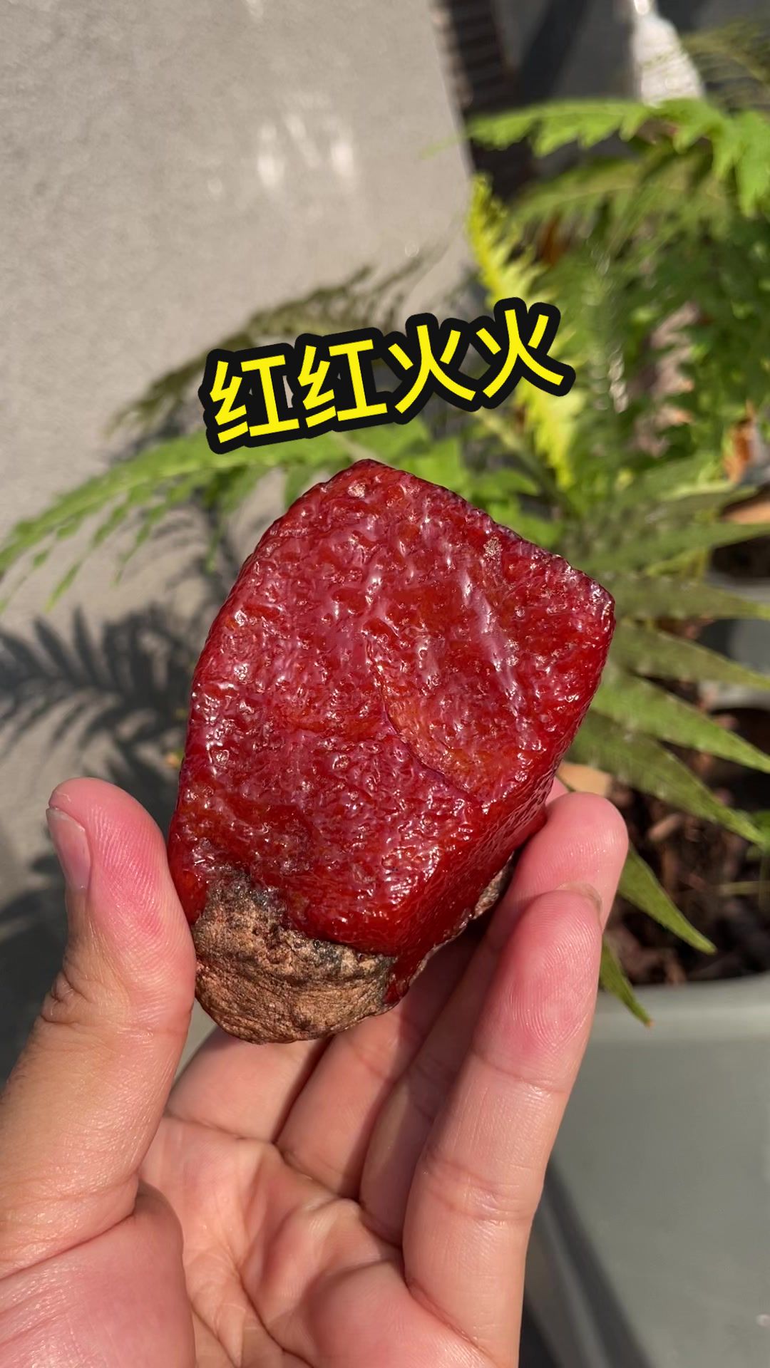 @鴻盛珠寶