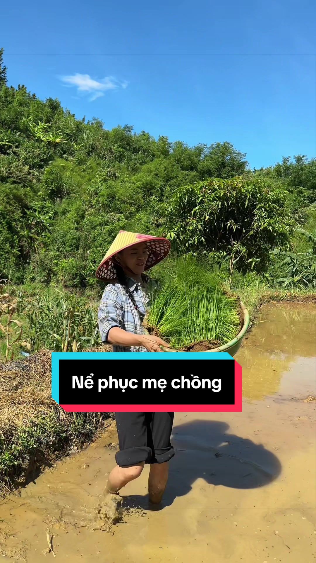 @Nhi Dao Đỏ