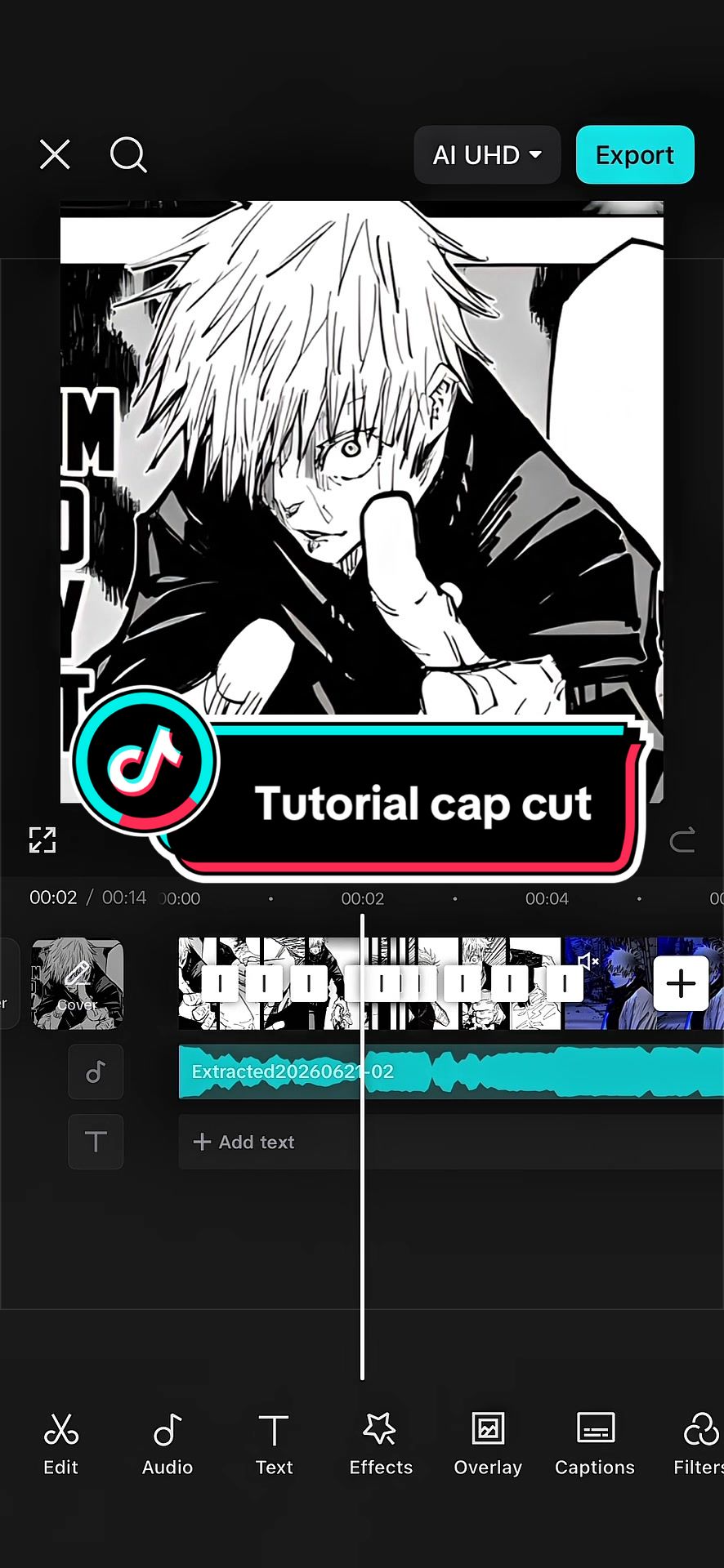 @GEN_Z [CAPCUT]