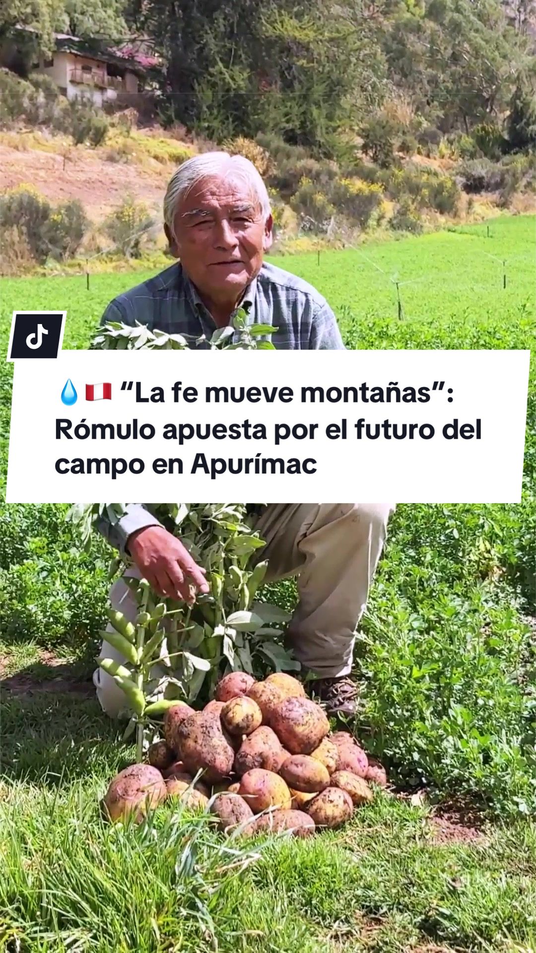 @Diario El Comercio