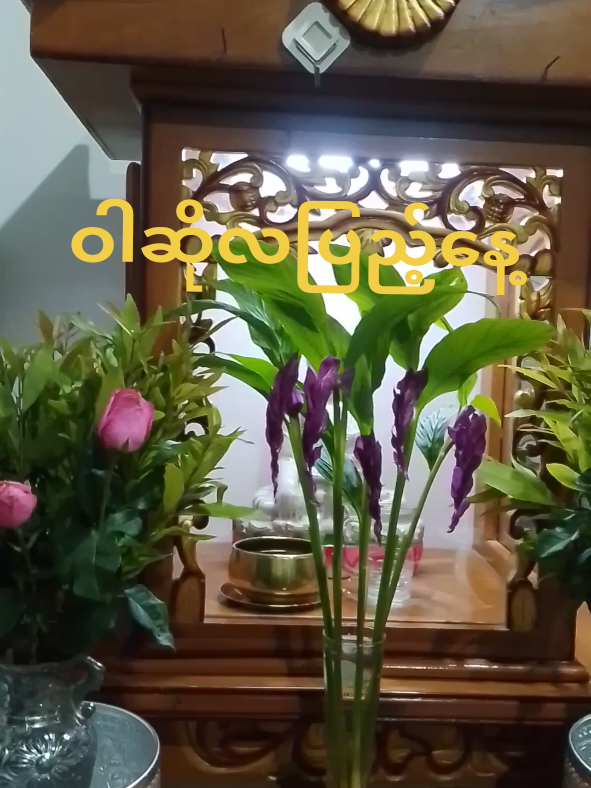 @RoseWaiWaiPhyo Phyo