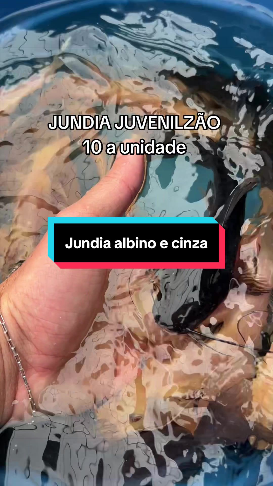 @Walter Fish