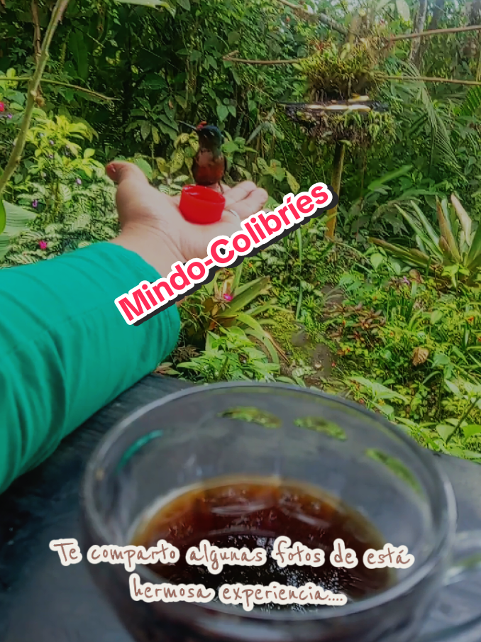 @Caro B |๐ง๐ฟ๐ฎ๐๐ฒ๐น๐โจ