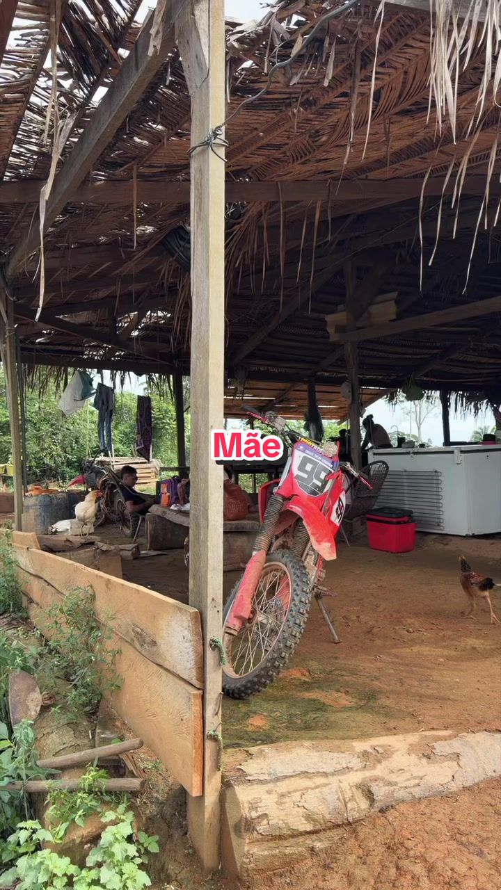 @Z&eacute; da mazona