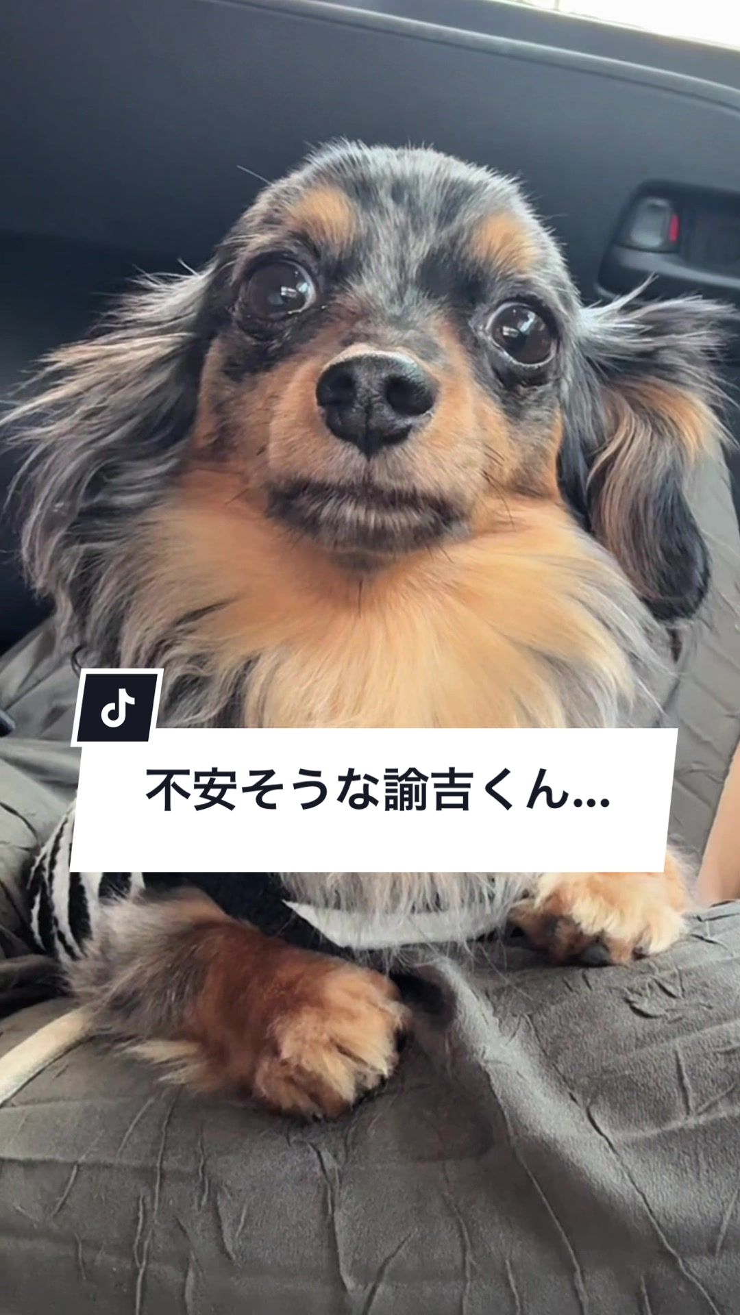 @チワックスの諭吉くん🐾