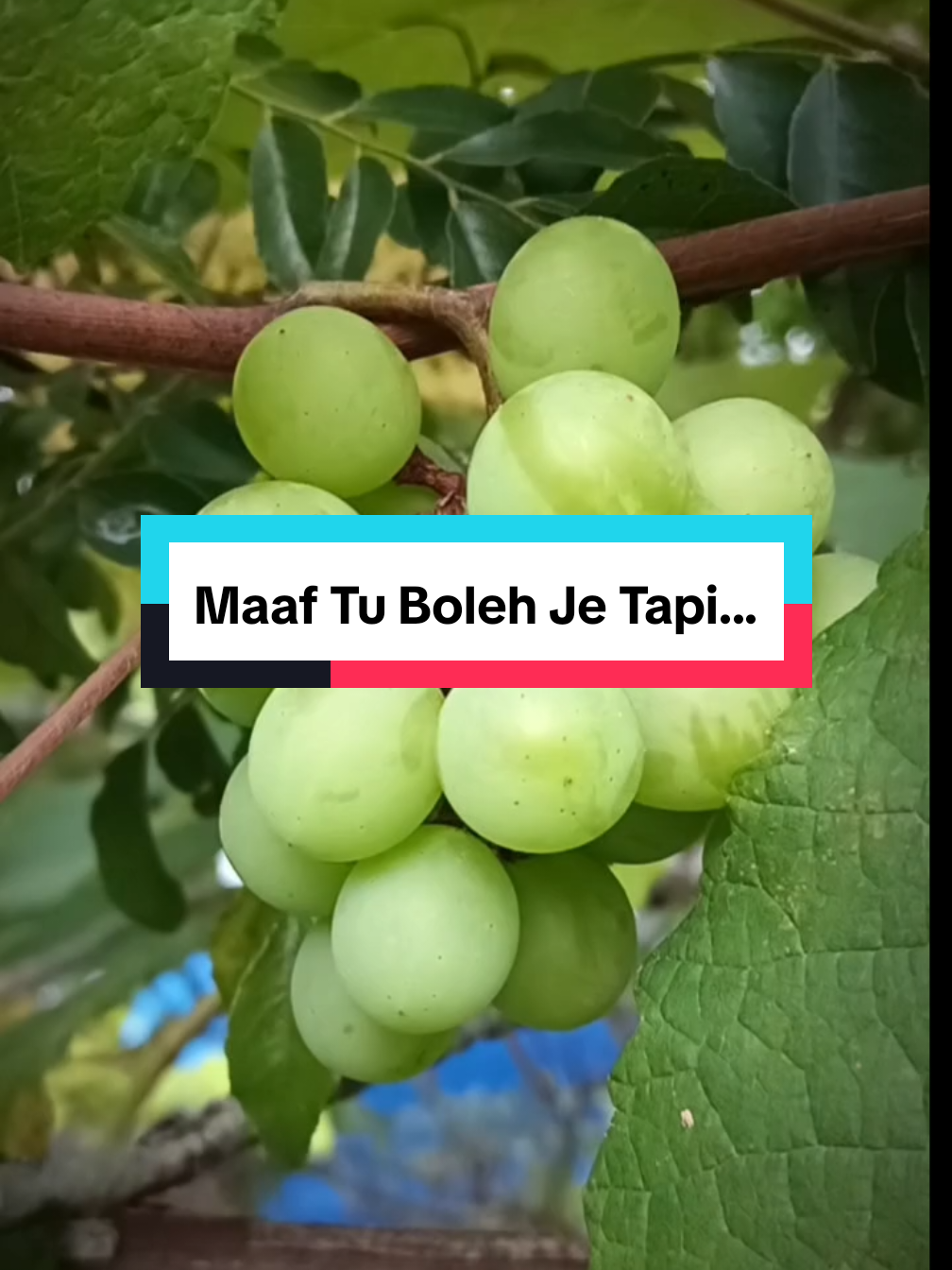 @FATIMAH