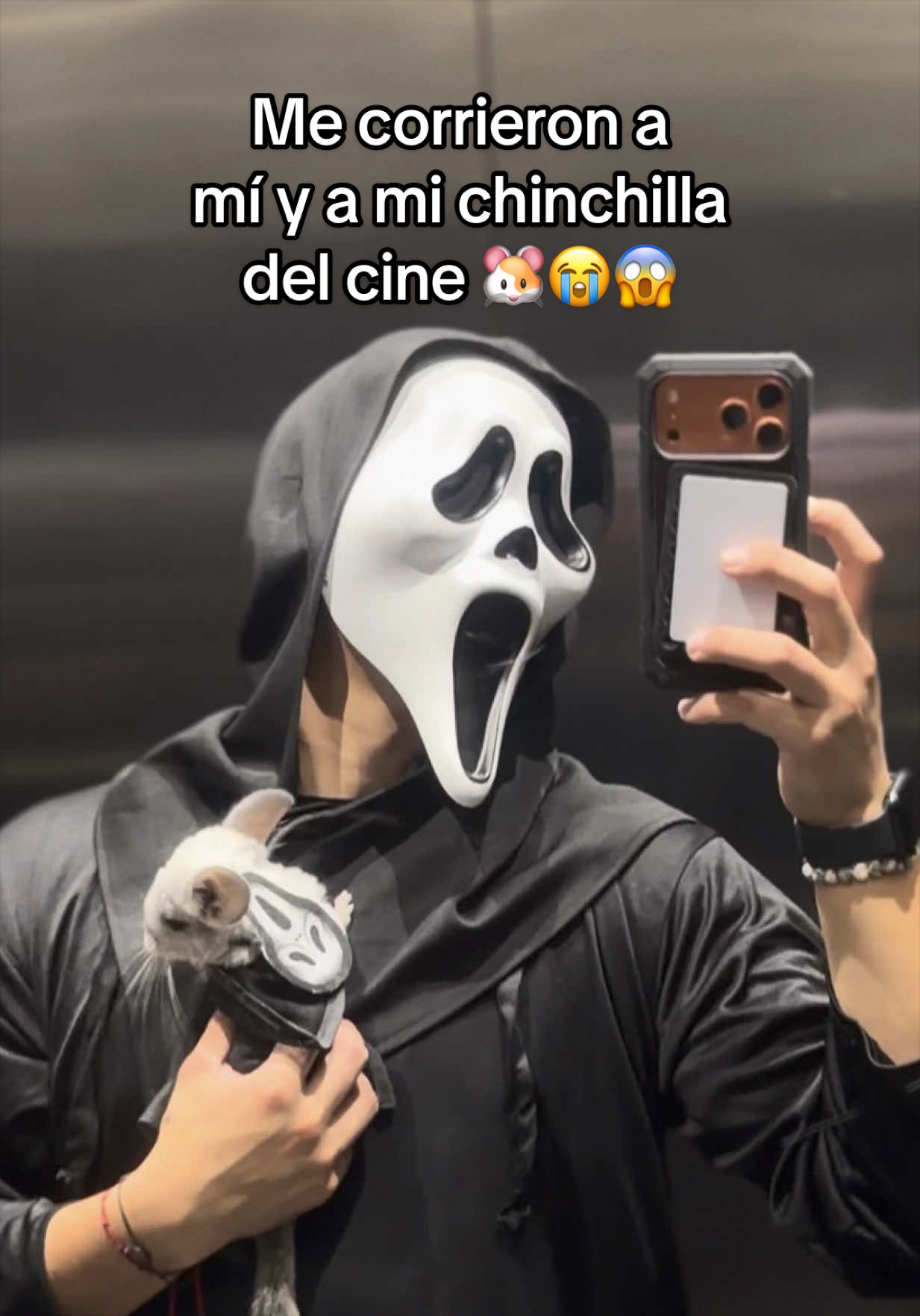 @Creador del exito
