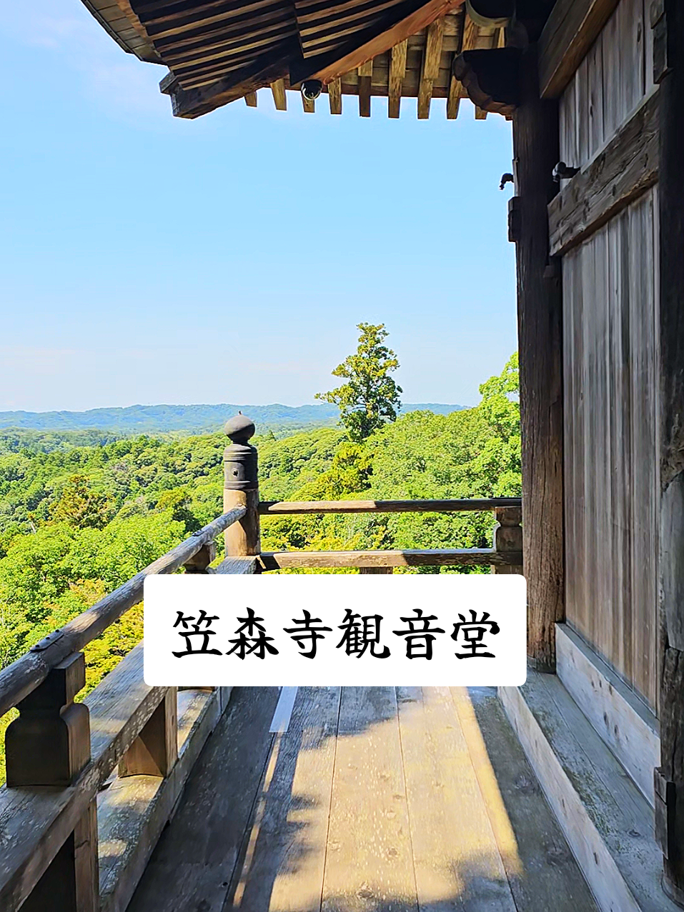 @ぴーち社長