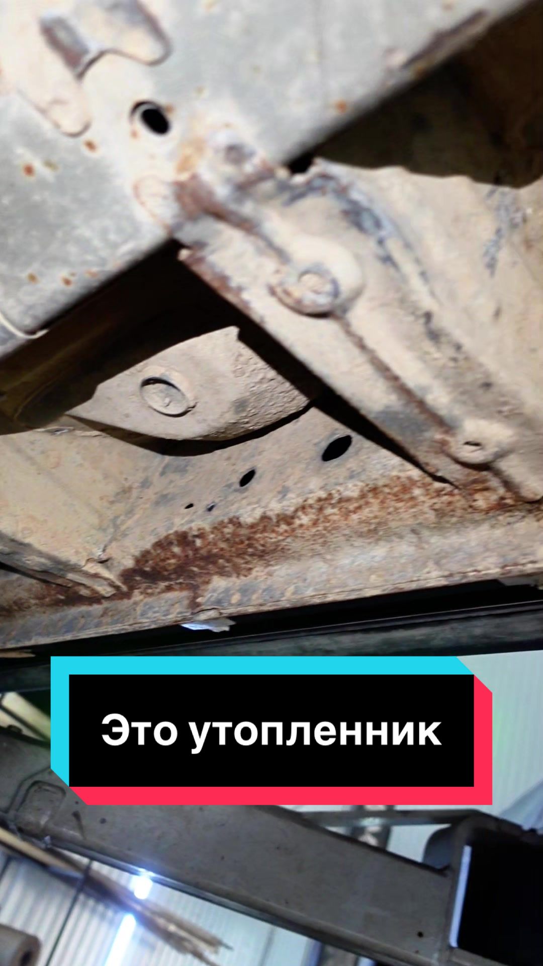 @Пегас-авто Витебск