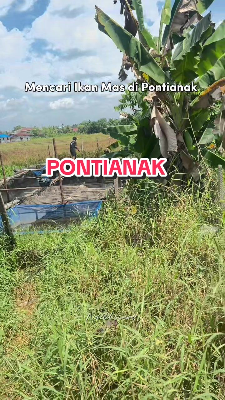 @Nofelita Sijabat