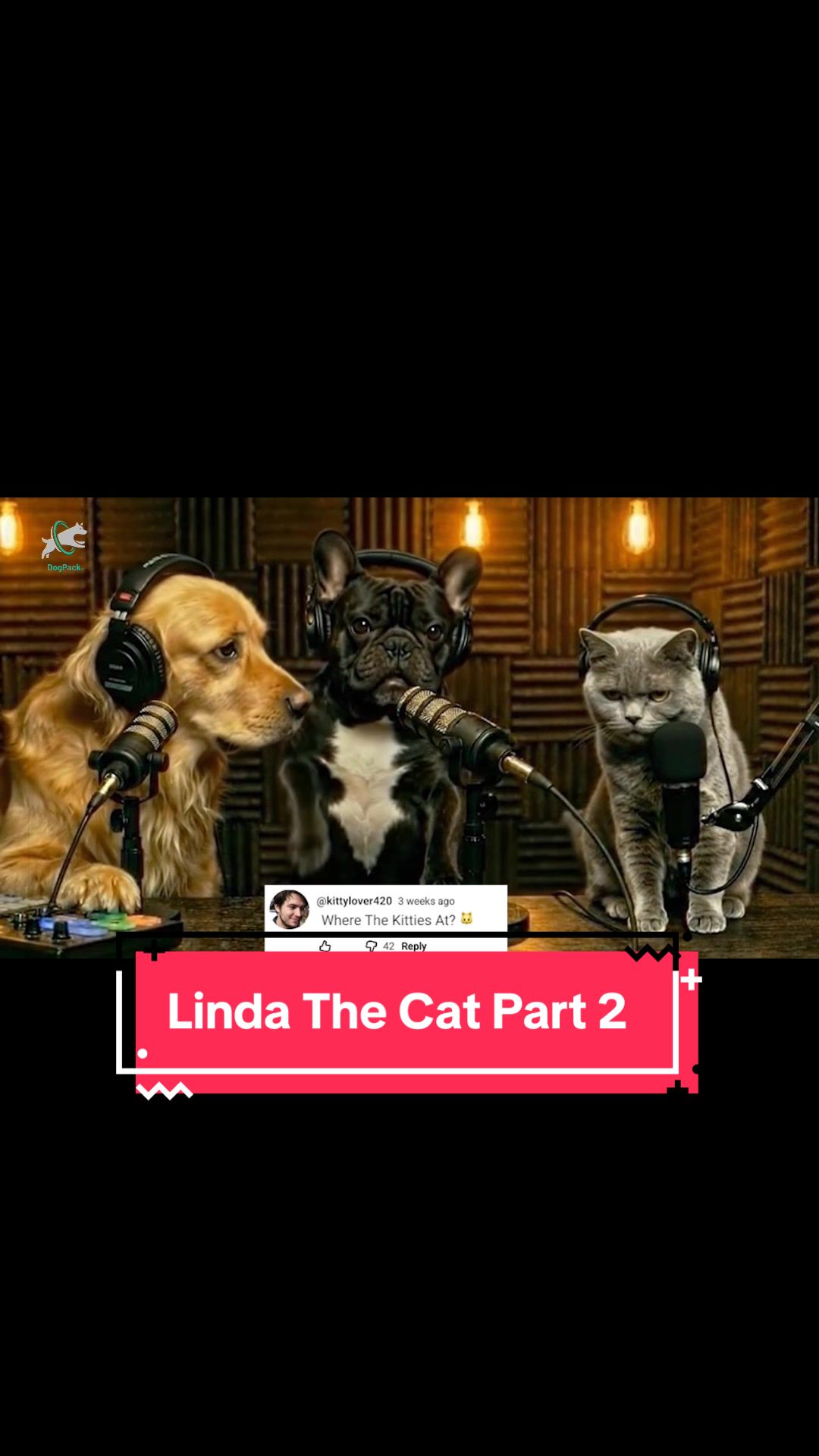 @DogPack