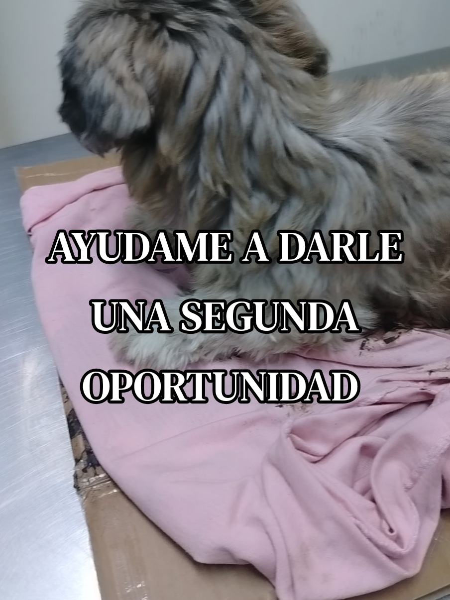 @Lismy