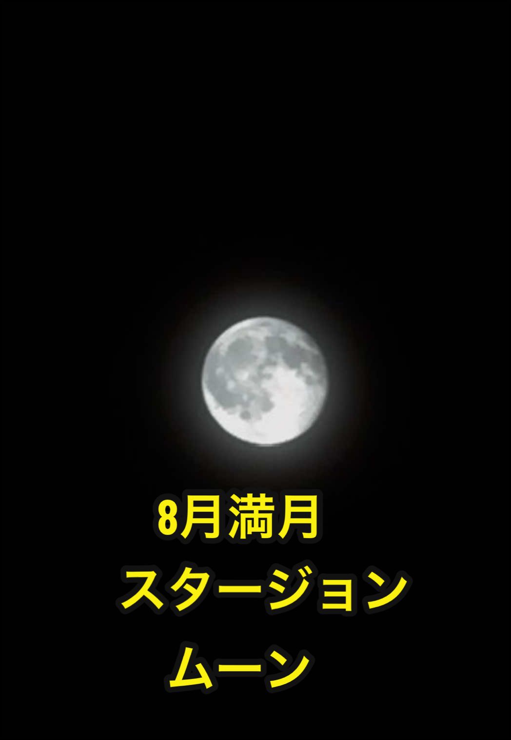 @✌︎·͜·(PᗜN)·͜· ︎︎ᰔᩚ