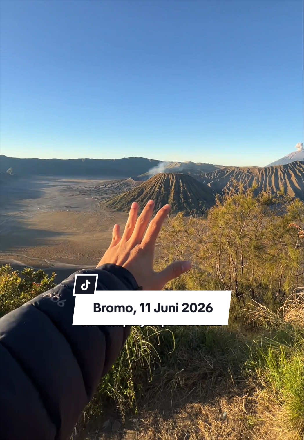 @BROMOPROJECT.ID