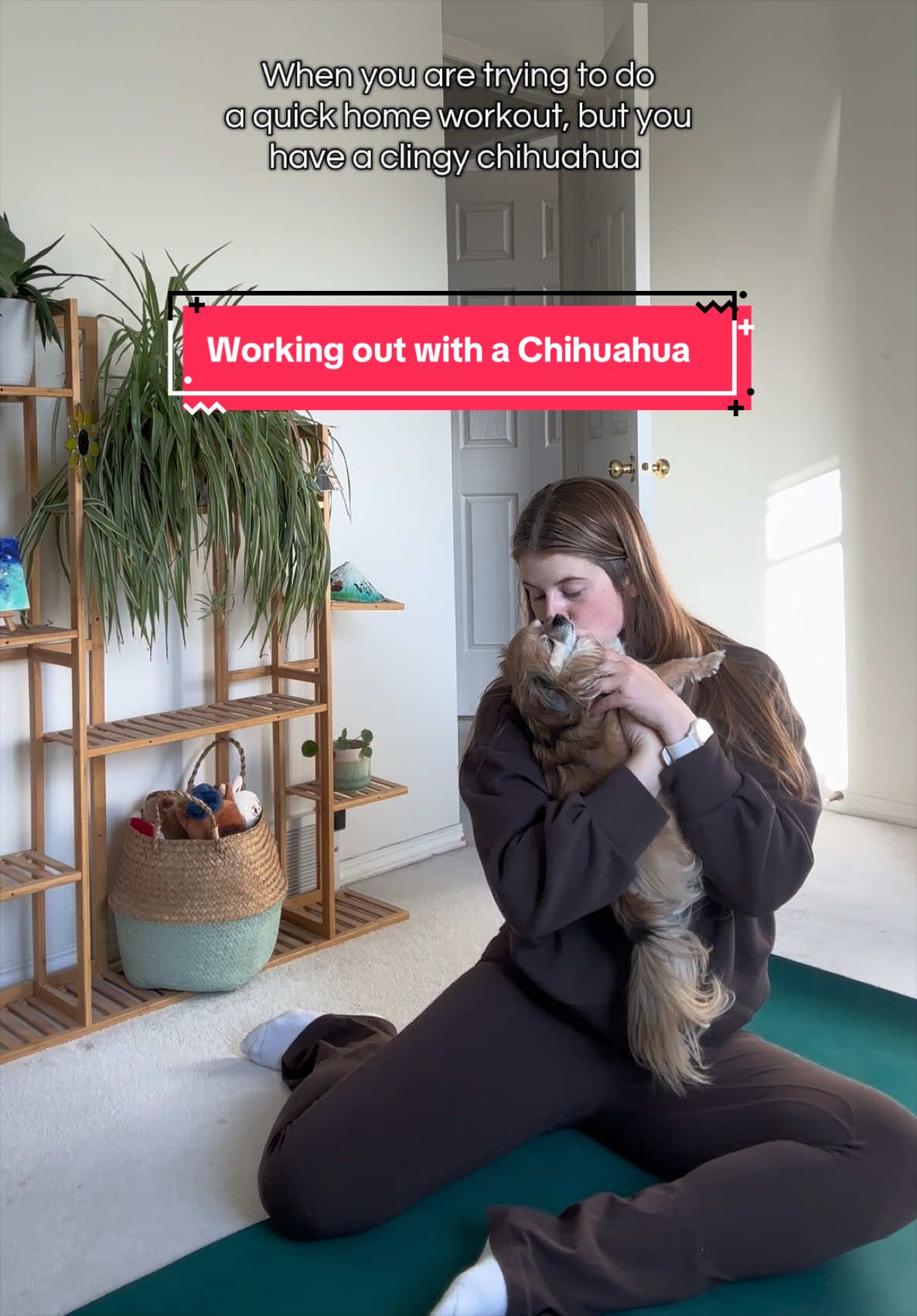 @Mochi & Ali 🐾🇨🇦