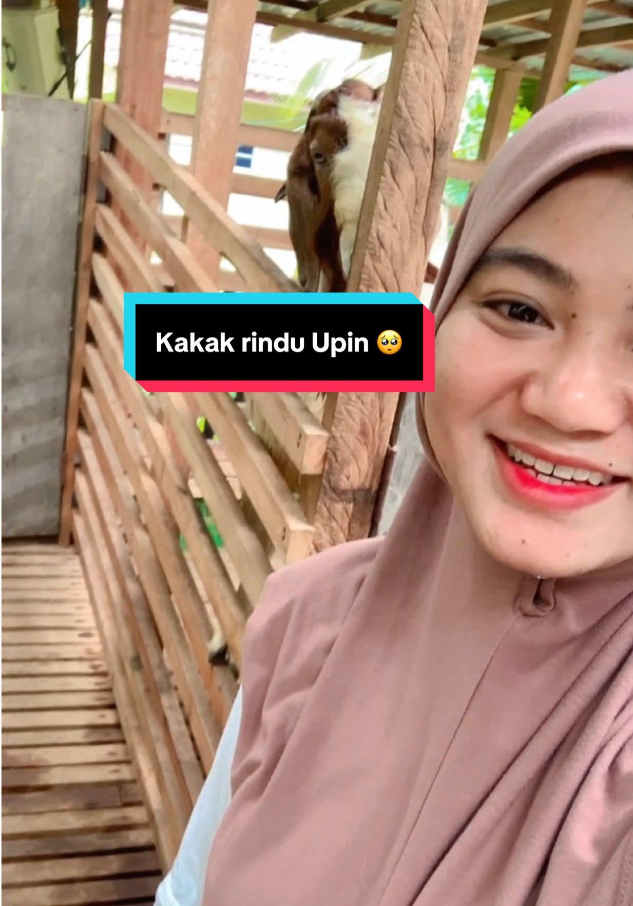 @AB Agrofarm 588