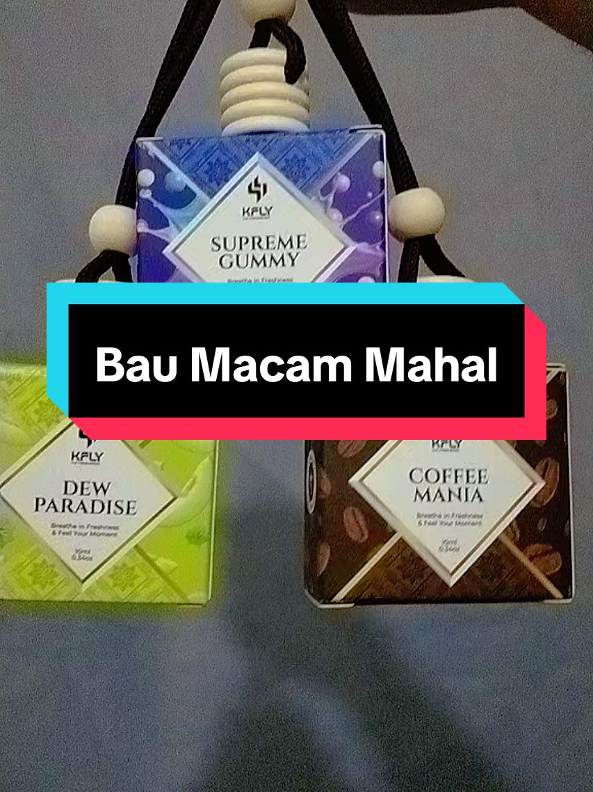 @Wansyahmi778