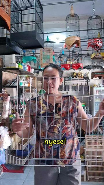 @bukogix