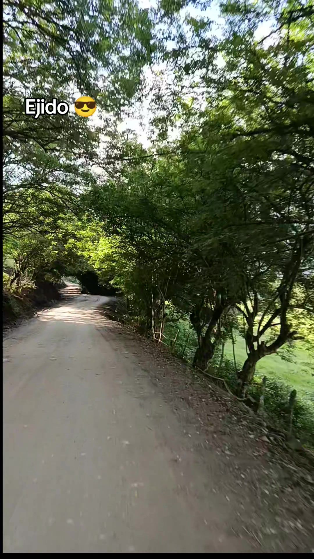 @yuleidy_🎧
