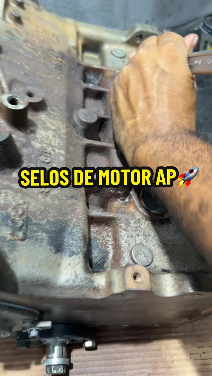 @Dall Souza