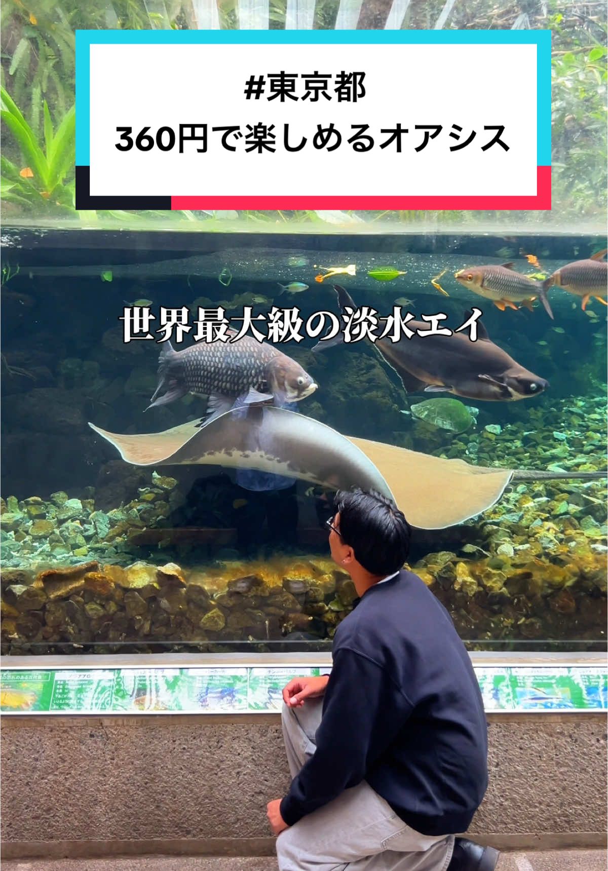 @映え旅けんと | 東京発の全国おでかけ情報