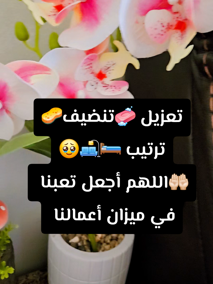 @🍃🌸Tahani Khafas🌸🍃