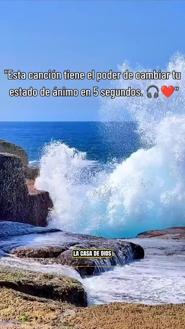 @🦀canecho0506🦀