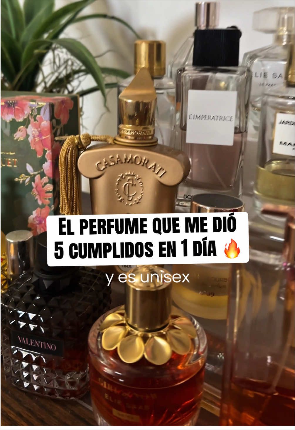 @Queen Perfumes Panamá
