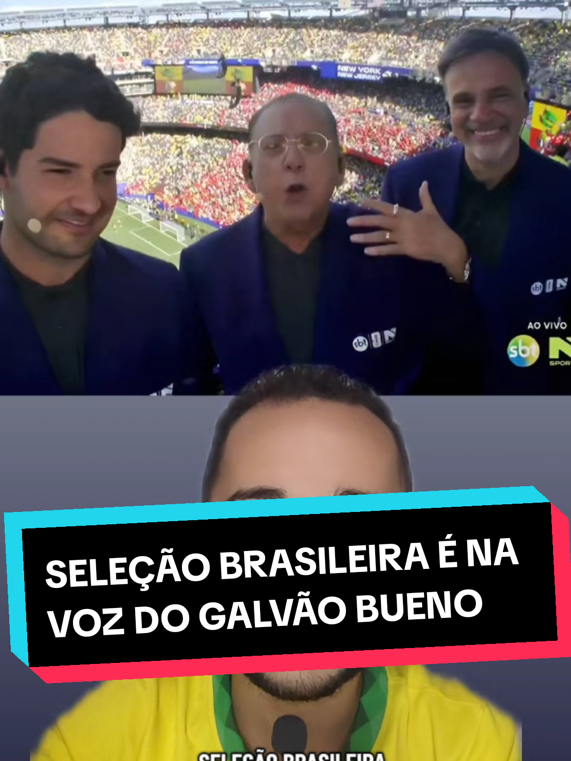@analistaleigo