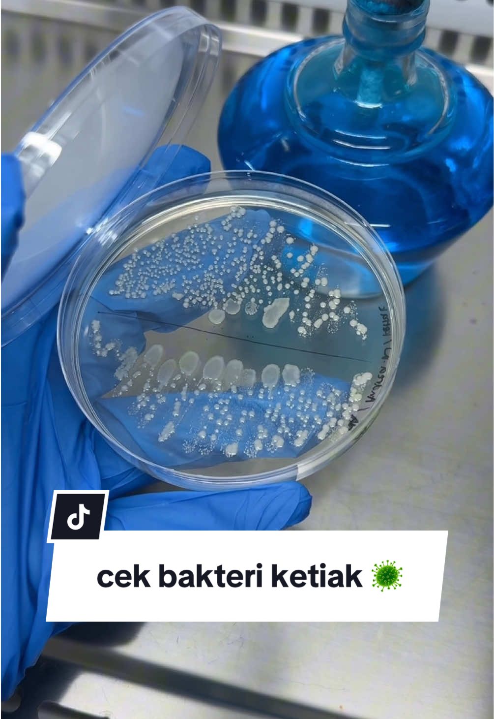 @andrea👩🏻🔬