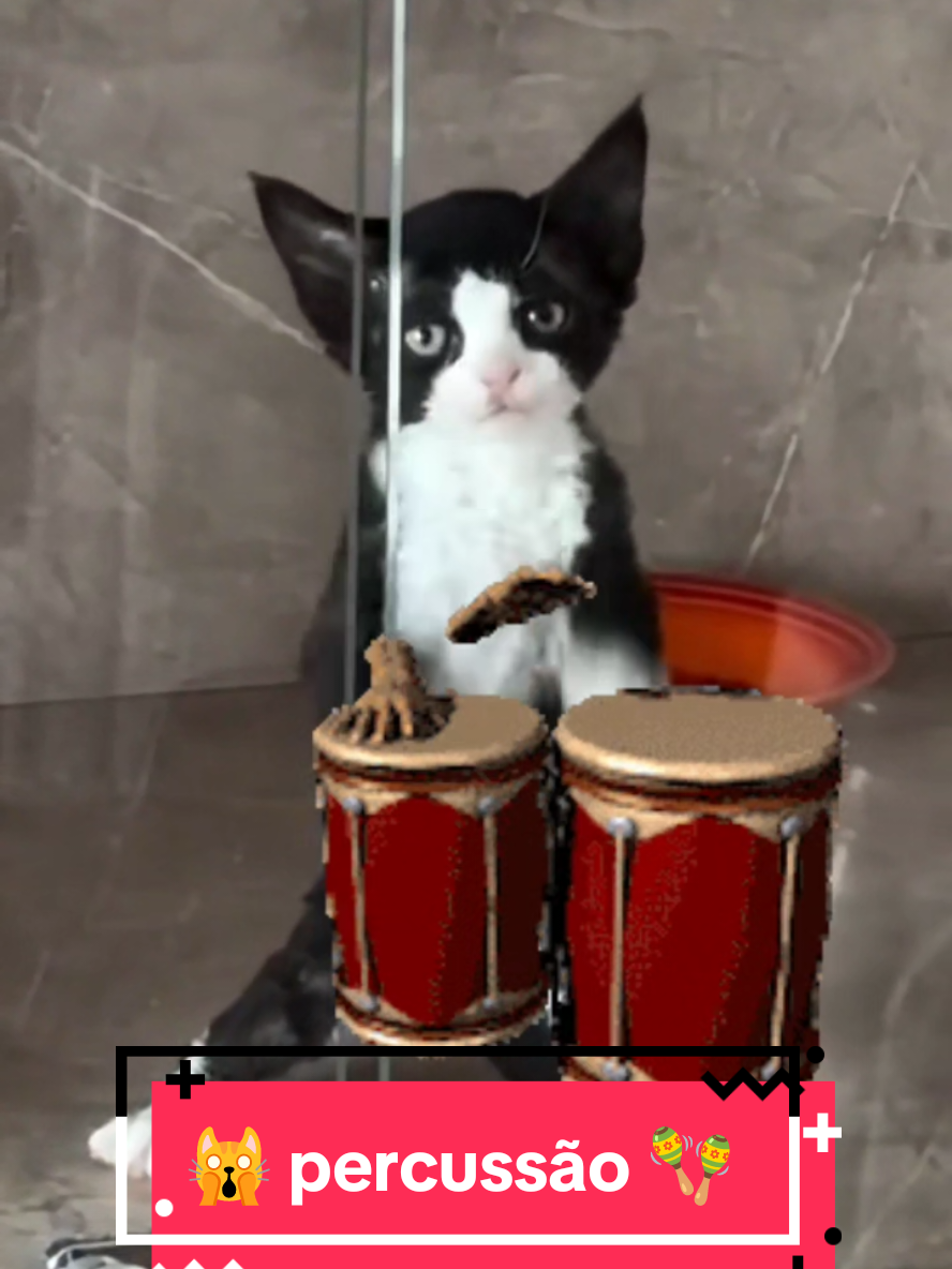 @Gatosetravessuras@10