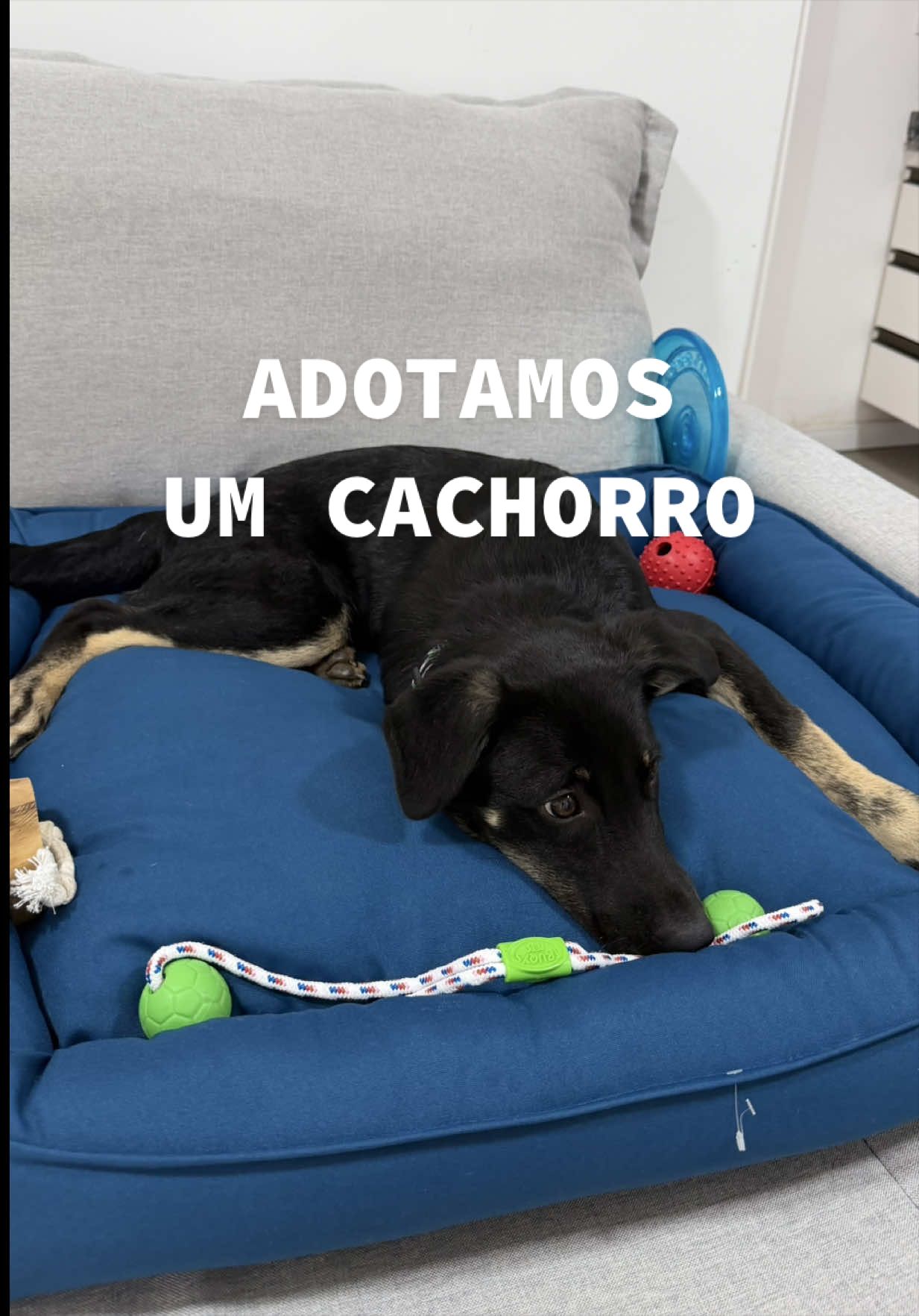 @Luana Nascimento