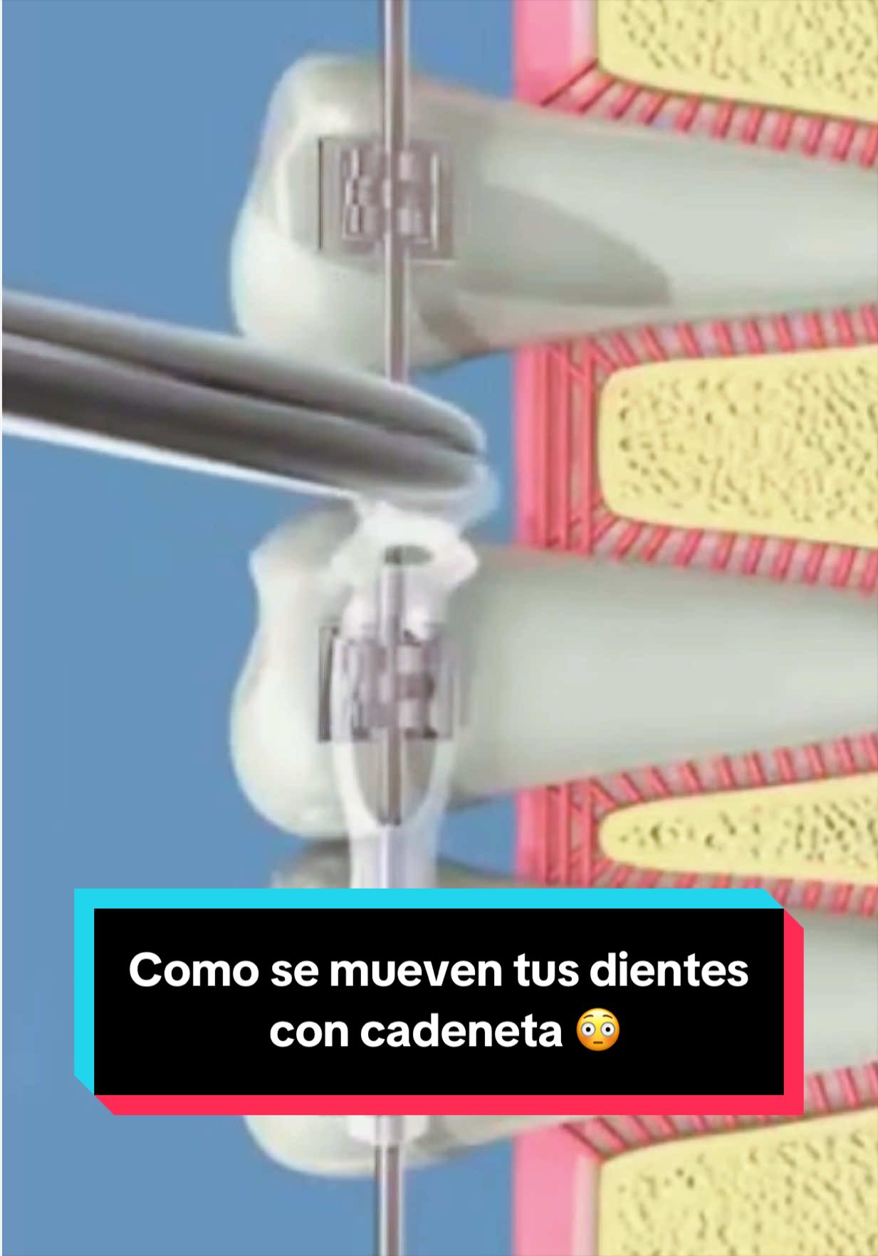 @Clínica Dental Sonrident
