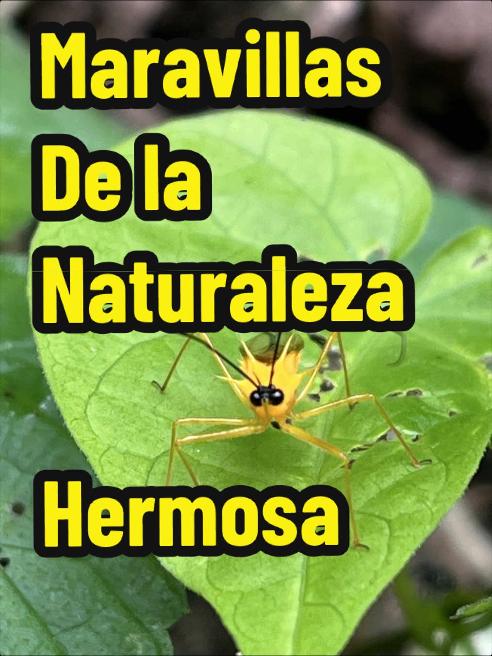 @Colombia Nature Places