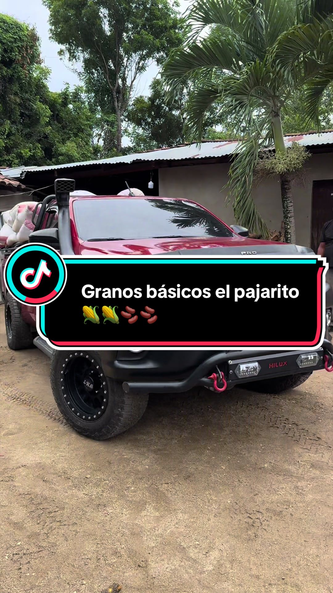 @Granos b&aacute;sicos &eacute;l pajarito 🌽