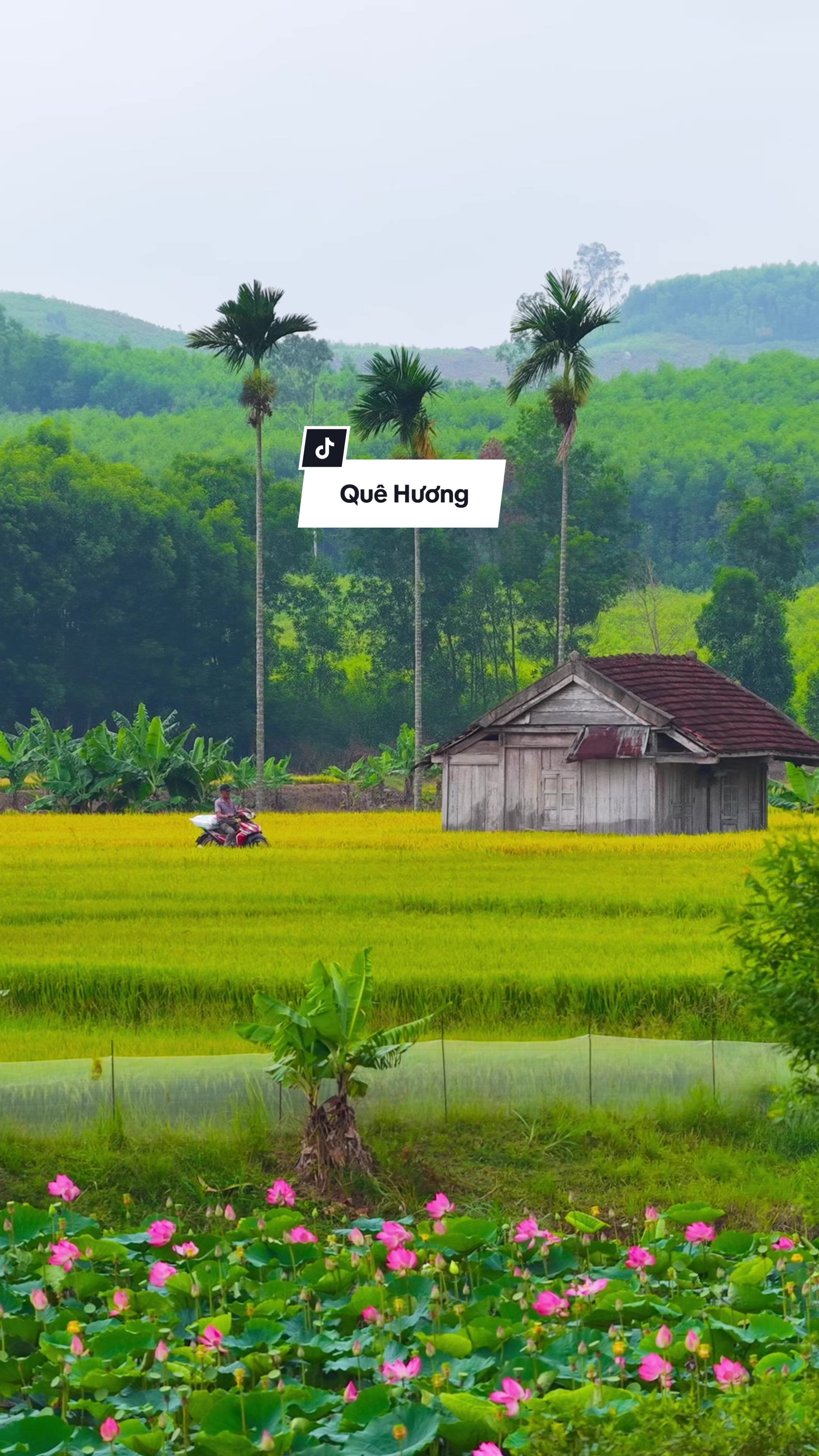@Tuấn th&iacute;ch bay