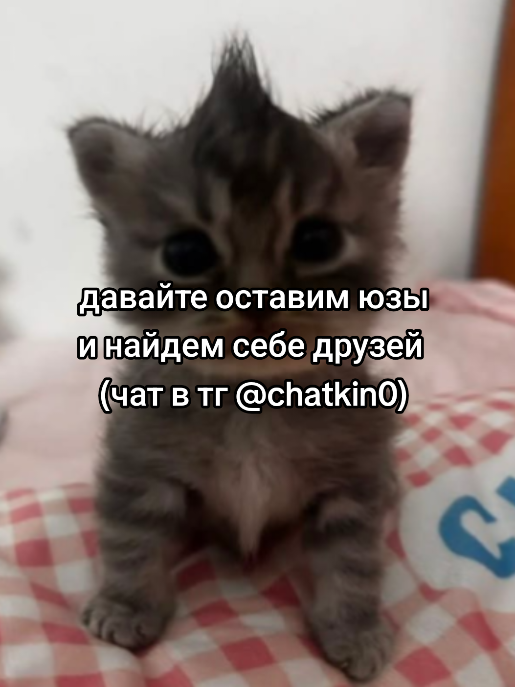 @cqtagger