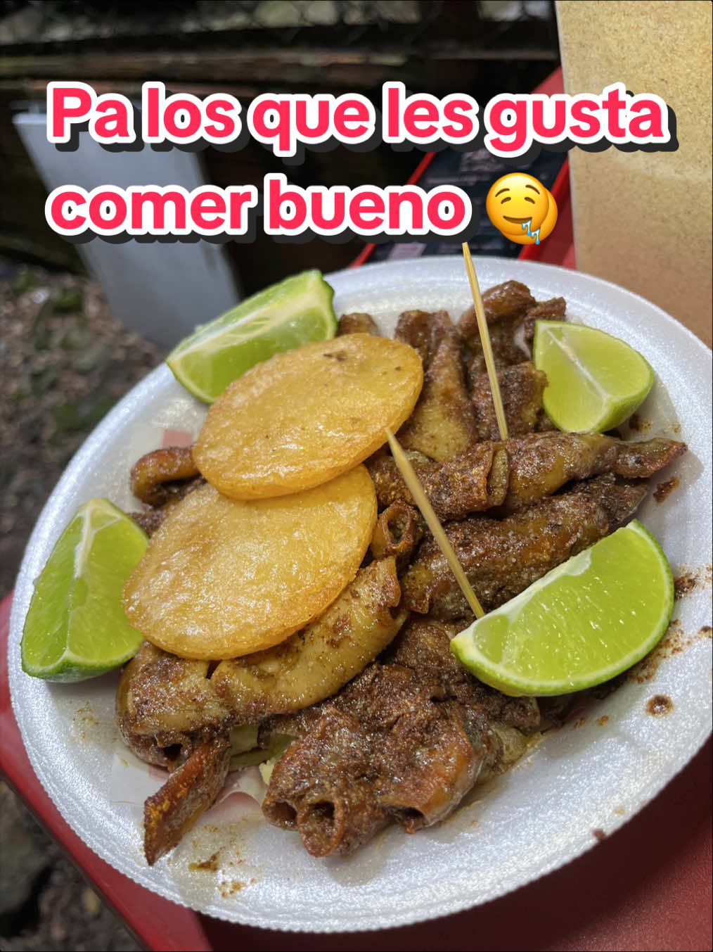 @elmagnatedelospollos
