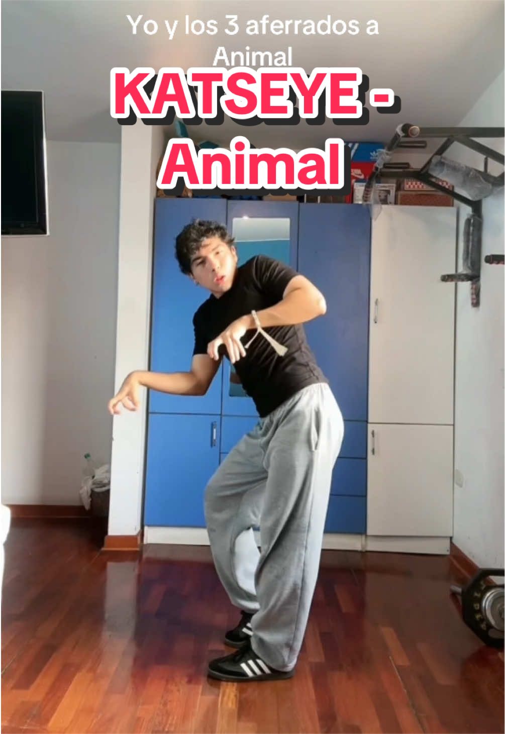 @Raúl
