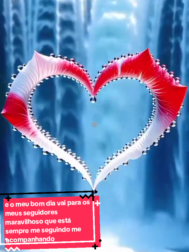 @Aurea Ribeiro