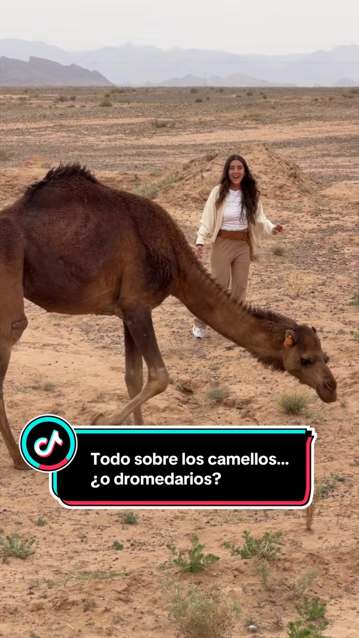 @Laura Londoño
