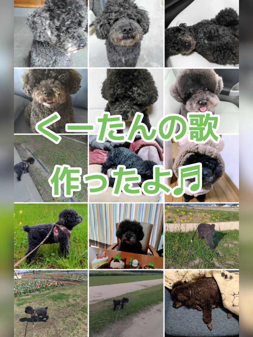 @ritsu🐶💚🐎