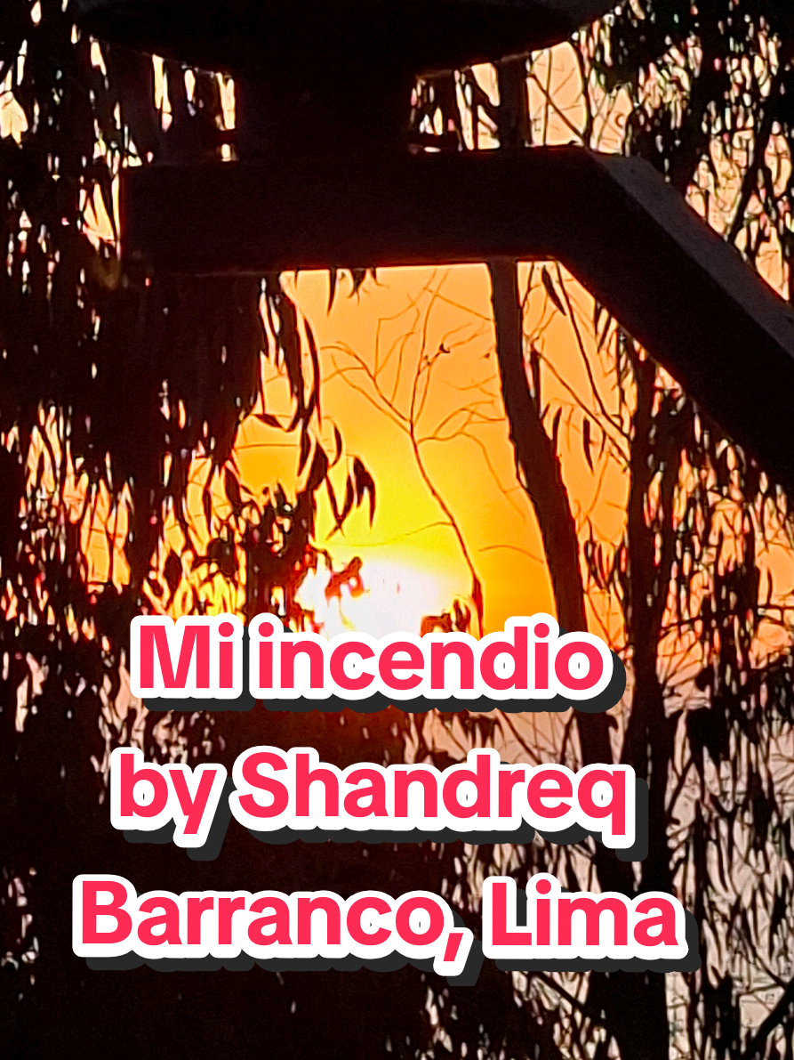 @Organiqo Poemario