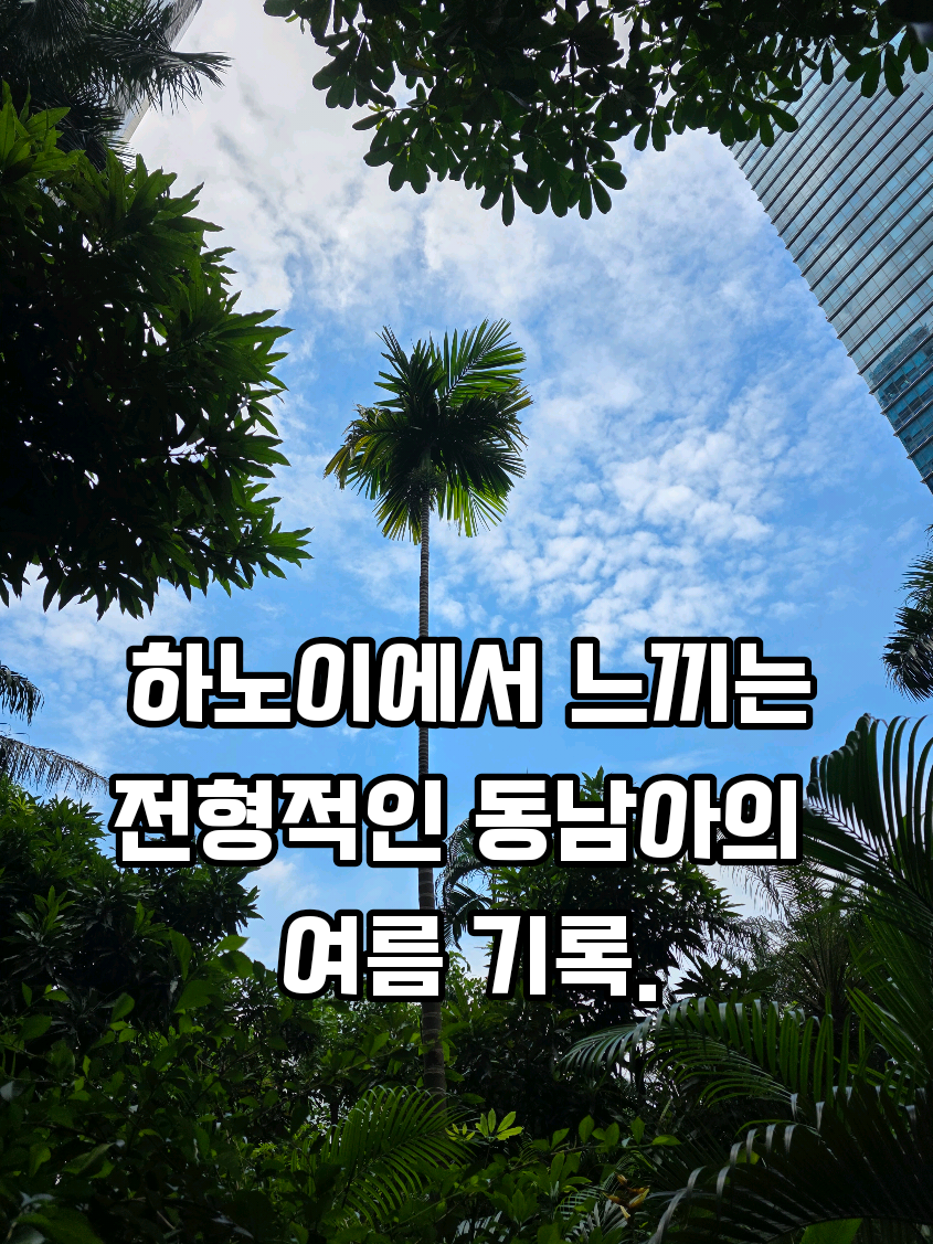 @🍇체리cherry🍒🇻🇳