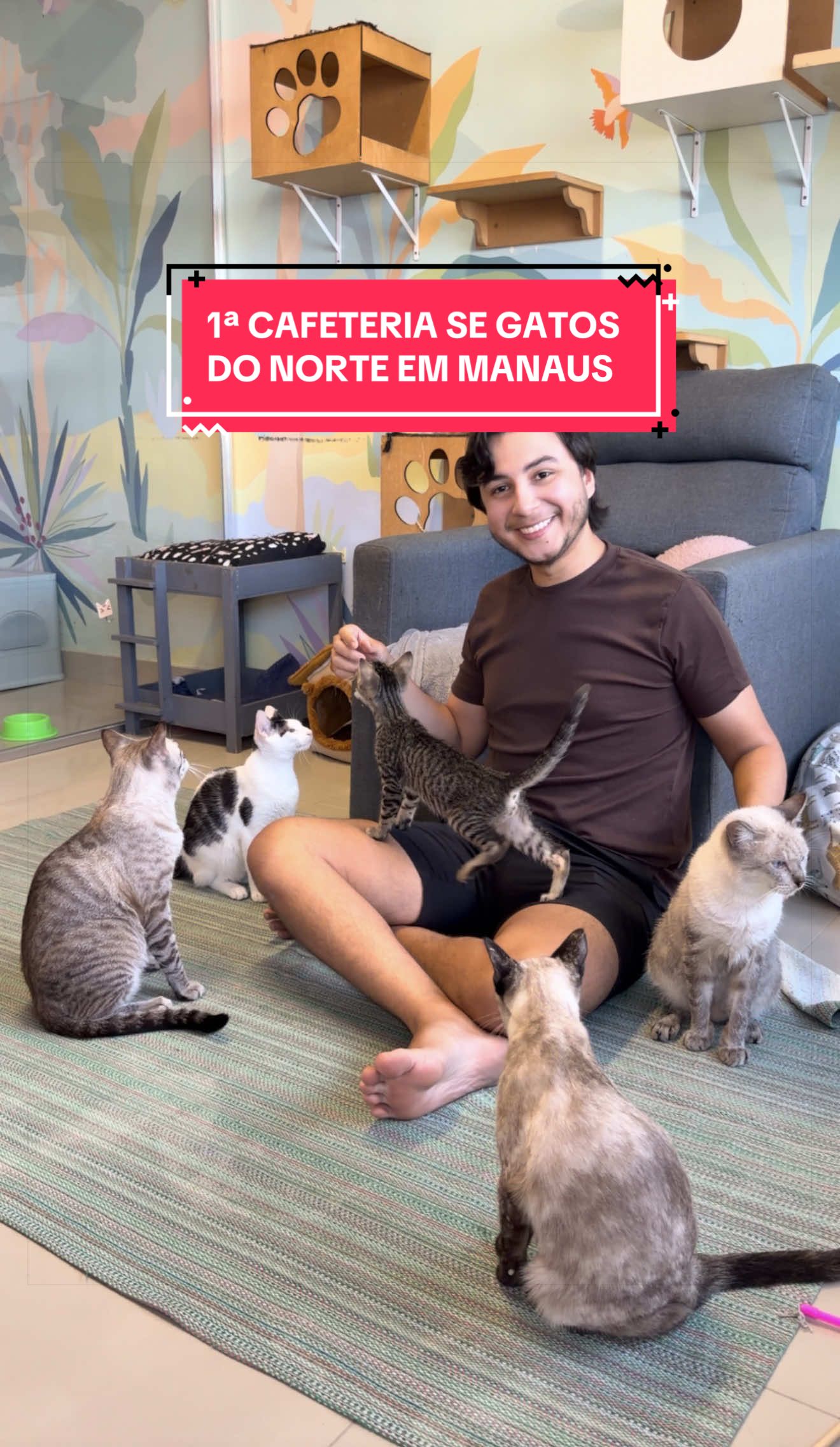 @O que fazer em Manaus?