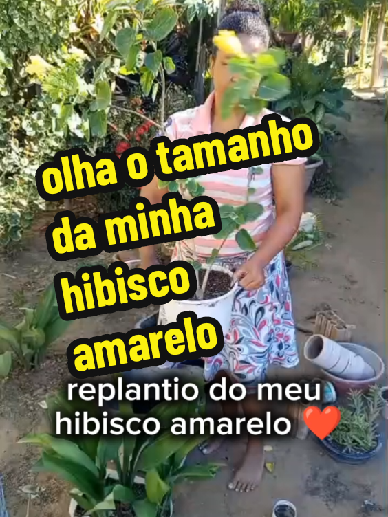 @Maisa Silva ❤️