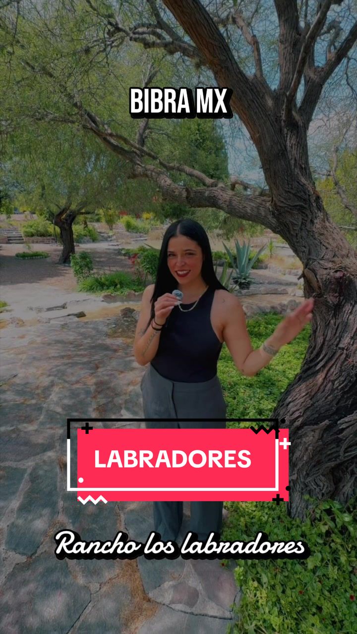 @angeles_b_