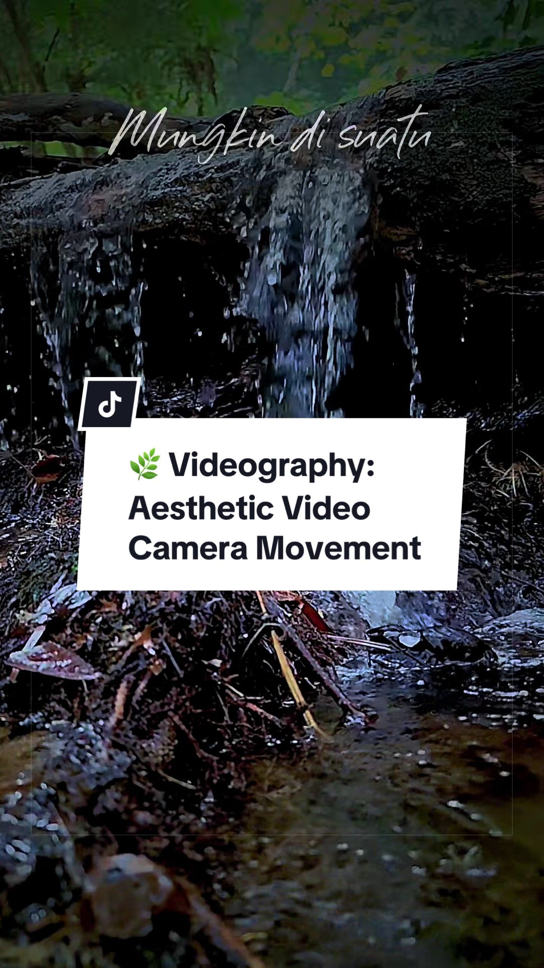 @Muhammad | Videographer