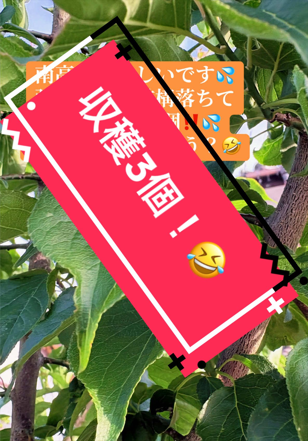 @𑁍︎&middot;͜&middot;えりぽんꫂ&nbsp;ၴႅၴ