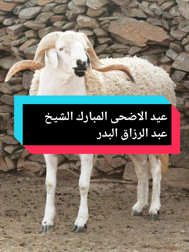 @فضيلة الشيخ عبد الرزاق البدر